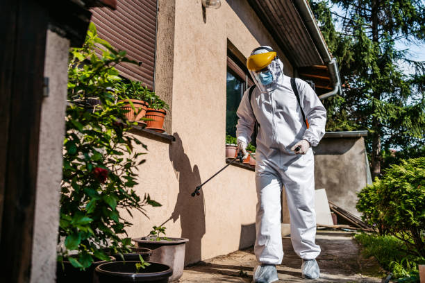 Best Pest Prevention Services  in Longmont, CO