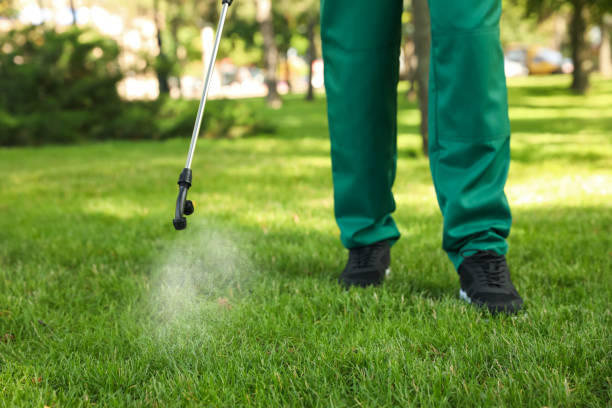 Best Affordable Pest Control Services  in Longmont, CO