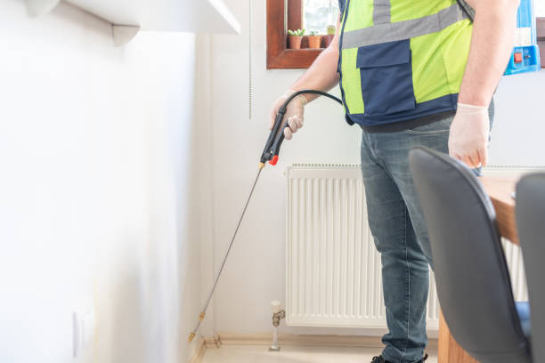 Wasp Removal Services in Longmont, CO