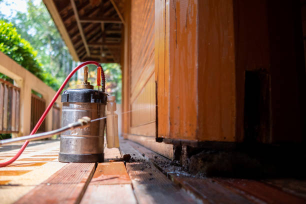 Best Pest Control Cost  in Longmont, CO