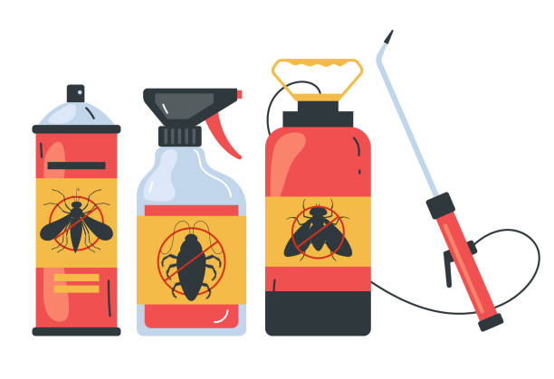 Best Affordable Pest Control Services  in Longmont, CO