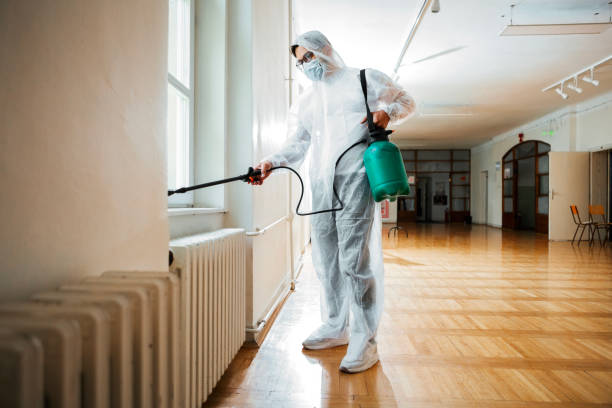 Best Pest Removal Services  in Longmont, CO