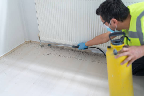 Best Exterminator Services  in Longmont, CO